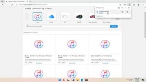 How To Install iTunes In Windows 11 {Tutorial]