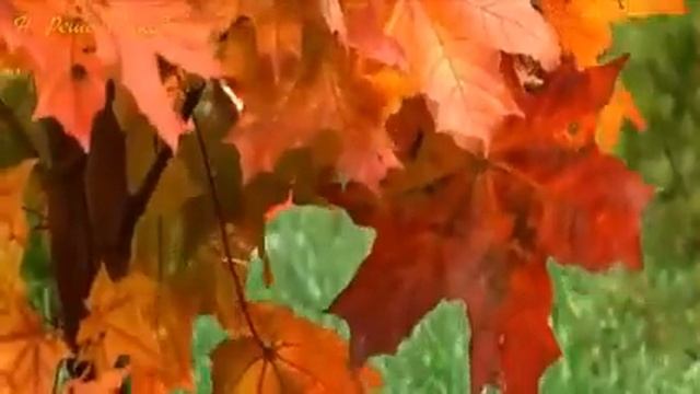 Андрей Обидин "Осень и саксофон" смотреть онлайн