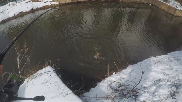 Напороли Щук в ОГОРОДЕ! Zetrix Solver в Деле! Разыгрываем Solver за Лайк!? смотреть онлайн