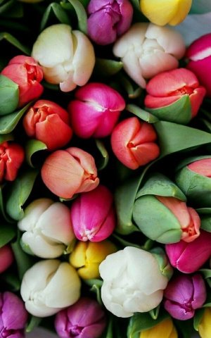 Доброго и Отличного Вам Дня!