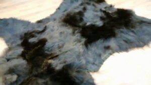 ОБЗОР ШКУРЫ МЕДВЕДЯ  ВЫДЕЛКА ? ТАКСИДЕРМИЯ