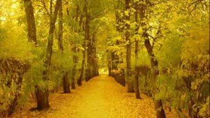 Аркадий Райкин  "Осенняя песенка"