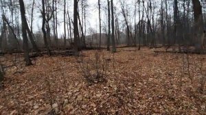 Walking through the forest | Burzyansky district village of Starosubkhangulovo ?