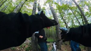 Ох уж это дерево… Даунхил с Иваном Кунаевым!