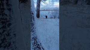Первая зимняя тренировка в лесу / The first winter training in the forest