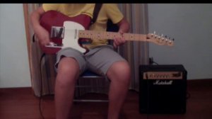 Fender Telecaster Mexico con Fender Texas Special [ ITA ]