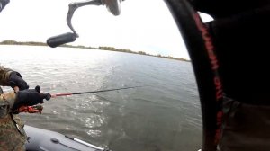 Рыбалка на спиннинг, огромные ОКУНИ, Уткуль!