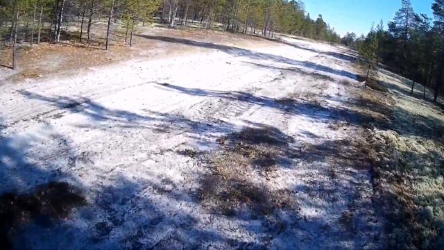 Охота с русскими гончими в ХМАО 2021 конец сентября смотреть онлайн