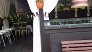 Пляхо 2021/ кафе-отель #Шале/Яблоневый сад