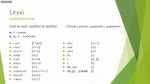 Ирландский язык