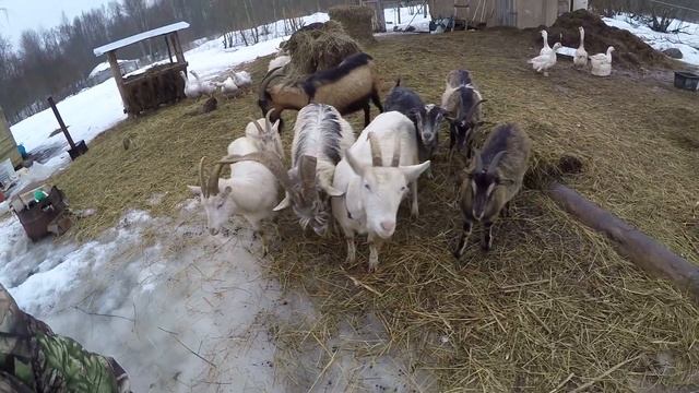 Реконь глазами паломника. Часть 2. смотреть онлайн