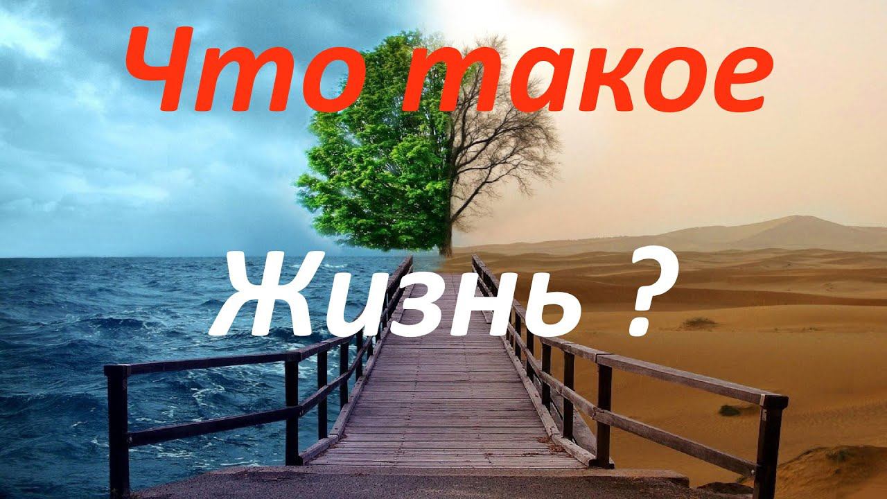 Что такое жизнь? Что есть настоящая жизнь?