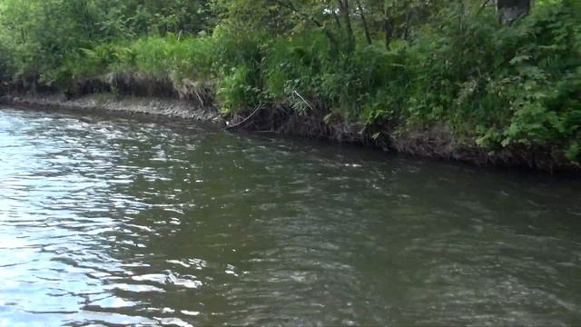 Таёжная речка. смотреть онлайн