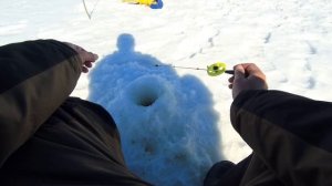 БЕЗМОТЫЛКА. ЛОВЛЯ ГУСТЕРЫ НА ВОЛГЕ. ЗИМНЯЯ РЫБАЛКА НА РЕКЕ