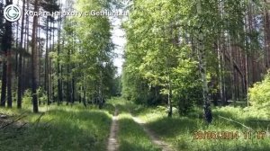 Охота в Краснодарском крае – Приморско-Ахтарская РО ККОООР охота на вальдшнепа в Краснодарском крае