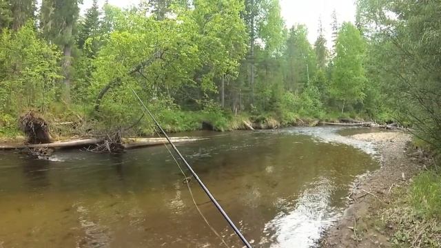 ТРИ ДНЯ НА ТАЕЖНОЙ РЕКЕ удачный день (подводная съемка) смотреть онлайн