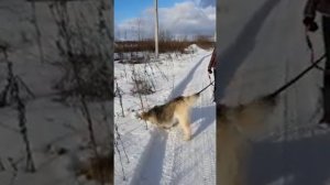 Фотосъёмки на улице, часть 2(5)