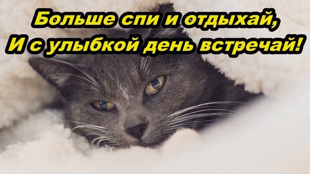Выздоравливай! Желаю здоровья!