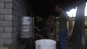 Hide Tanning 101 - How to make Leather from Animal Skins, NATURALY