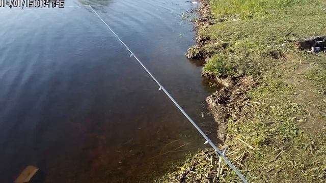 Видеоотчет о ловле рыбы на китайские бойлы и прикормку с Алиэкспресса  Великий Новгород 8 мая 2016