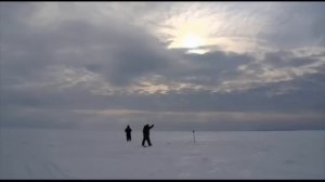 Ловля налима в зимой на   Рыбинском водохранилище.