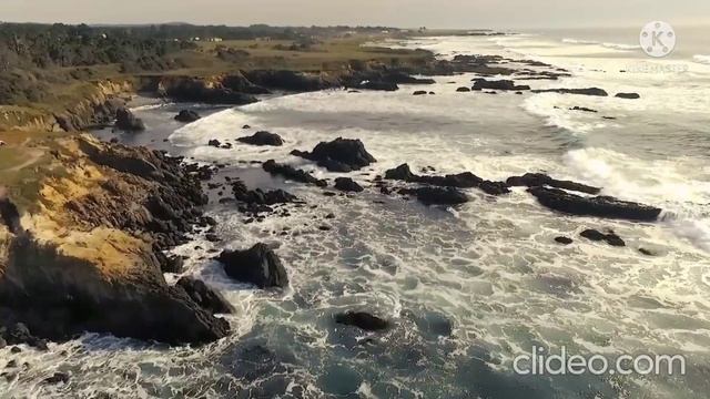 Доброе дело вместе.Кто же эти псы и пиявки? смотреть онлайн