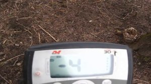 Опыт работы с металлоискателем Minelab X-Terra 30. Легко разлечаем цветной металл.