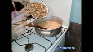 Готовим восточную сладость  Как приготовить халву из грецких орехов