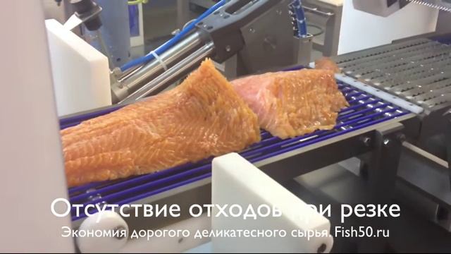 Слайсер Salmco 5118 для нарезки бескостных продуктов