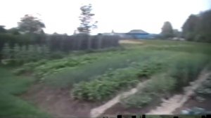 малиновый звон. Поет Сергей Вахрушев.