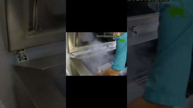 Раз пайета, два пайета..хватит на всех)