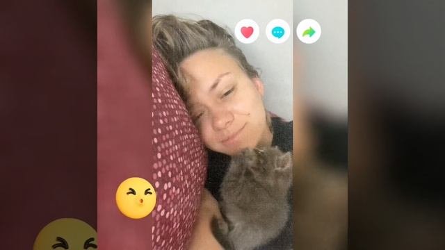 Почему кошка лижет своих владельцев: научное объяснение???#домашниепитомцы #кошка #кот