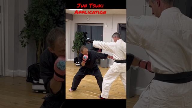 Jun/Yoko Tsuki Bunkai смотреть онлайн
