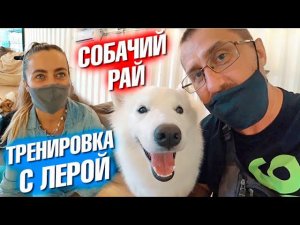 Немного бытовухи. Кафе с собаками. Русская баня. Тренировка с Лерой