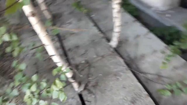 Заброшенный завод. 2021 Челябинск. (1) смотреть онлайн