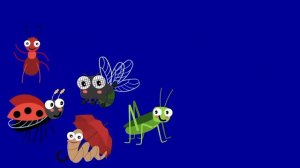 Bugs Insects Song | Shapes Color number | Kitchen Pretend Play