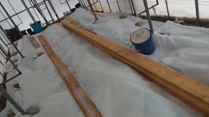 Укрытие винограда в теплице одеялами