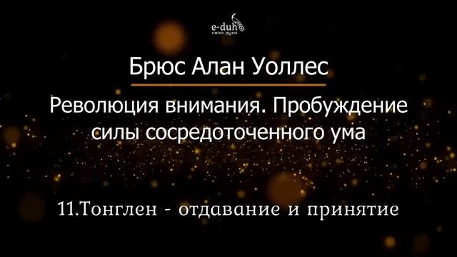 Брюс Алан Уоллес - Глава 11. Революция внимания. Пробуждение силы сосредоточенного ума смотреть онлайн