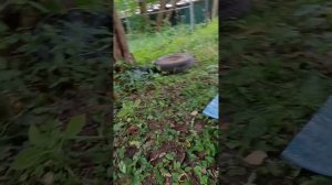 Сепаратор ВАЗ 2112
