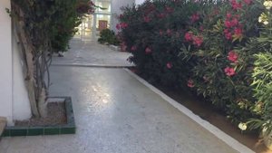 Отдых в Тунисе. Остров Джерба. Отель Seabel Aladin Djerba 3+