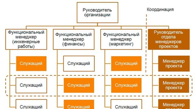 Организационная структура проектного управления