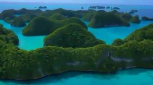 Сборник хитовых песен!Природа  и песни!