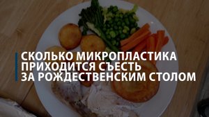Сколько микропластика приходится съесть за рождественским столом