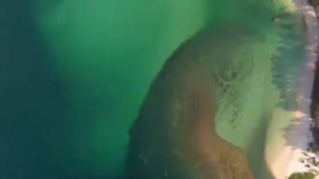 Любимые песни! смотреть онлайн