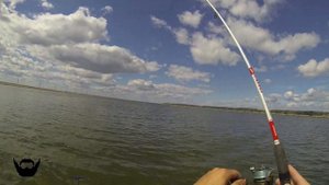 Ловля леща и плотвы на фидер на водохранилище. Рыбалка с Олегом Квициния : Vlog #9