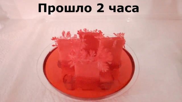ВЫРАЩИВАЕМ ЛУЧИСТЫЕ КРИСТАЛЛЫ//ФИКС ПРАЙС//