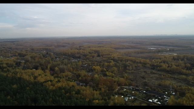 Королёв, Торфянка осенью 2018 г. смотреть онлайн