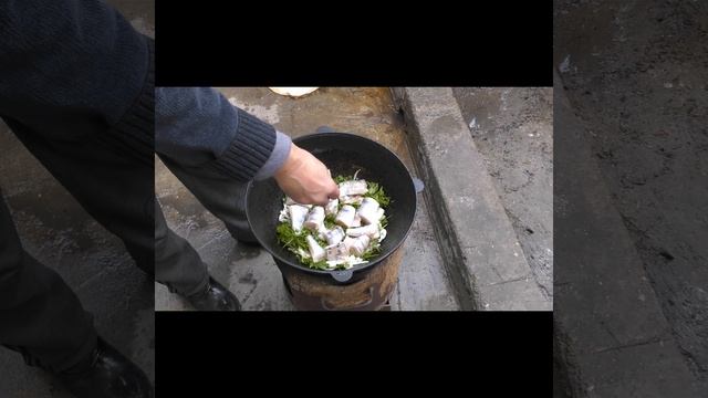 РЫБА в КАЗАНЕ на КОСТРЕ. РЫБА с ОВОЩАМИ ТУШЕНАЯ с ЛУКОМ в ТОМАТЕ.