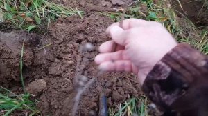 Копаем в первый раз : XP Deus