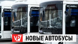 ВОЛГОГРАДСКАЯ ОБЛАСТЬ НА 45% ОБНОВИЛА МЕЖМУНИЦИПАЛЬНЫЙ АВТОБУСНЫЙ ПАРК